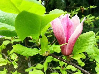 生生不息，意由心生 解讀生意之本與批發(fā)貿(mào)易之道